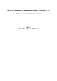 Automated Segmentation and Single Cell Analysis for Bacterial Cells