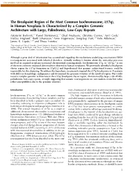 The Breakpoint Region of the Most Common Isochromosome, I(17Q), In