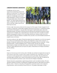Understanding Amarone