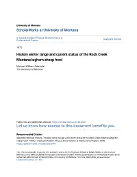 History Winter Range and Current Status of the Rock Creek Montana Bighorn Sheep Herd