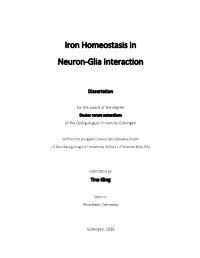 Iron Homeostasis in Neuron-Glia Interaction