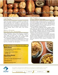Strength, Versatility, and Value Wheat Starch Holds It All Together the Power of Vital Wheat Gluten