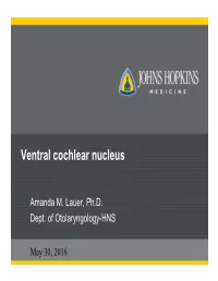 Ventral Cochlear Nucleus.Pdf