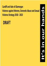 Violence Against Women DVSV Strategy Appendix 1