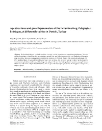 Age Structures and Growth Parameters of the Levantine Frog, Pelophylax Bedriagae, at Different Localities in Denizli, Turkey
