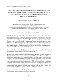 Imp.Xtrix in Pdf 06