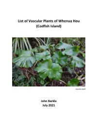 List of Vascular Plants of Whenua Hou (Codfish Island)