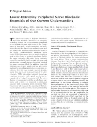 Lower-Extremity Peripheral Nerve Blockade: Essentials of Our Current Understanding