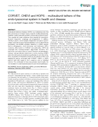 CORVET, CHEVI and HOPS – Multisubunit Tethers of the Endo