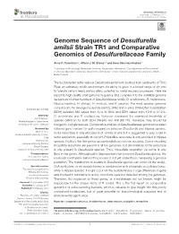 Genome Sequence of Desulfurella Amilsii Strain TR1 and Comparative Genomics of Desulfurellaceae Family