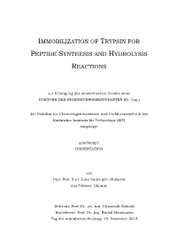 Immobilization of Trypsin for Peptide Synthesis and Hydrolysis Reactions