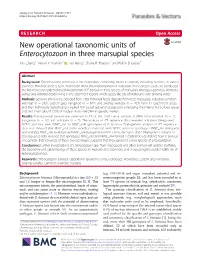 New Operational Taxonomic Units of Enterocytozoon in Three Marsupial Species Yan Zhang1, Anson V