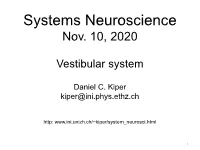 Vestibular System