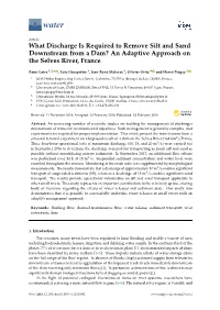 What Discharge Is Required to Remove Silt and Sand Downstream from a Dam? an Adaptive Approach on the Selves River, France