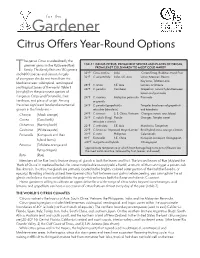 Citrus Offers Year-Round Options