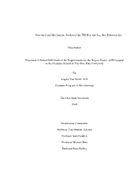 Structural and Mechanistic Studies of the THI Box and SMK Box Riboswitches