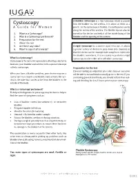 Cystoscopy Into the Bladder Via the Urethra, It Is About As Thick As a a Guide for Women