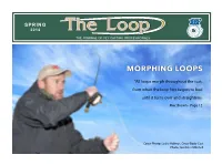 Morphing Loops