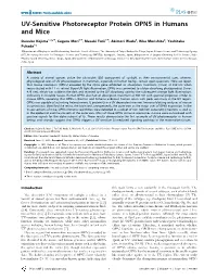 UV-Sensitive Photoreceptor Protein OPN5 in Humans and Mice