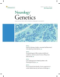 HACE1 Deficiency Leads to Structural and Functional Neurodevelopmental