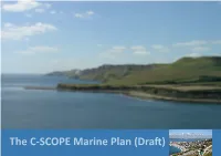 The C-SCOPE Marine Plan (Draft)