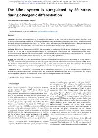 The Ufm1 System Is Upregulated by ER Stress During Osteogenic Differentiation