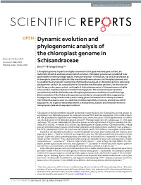 Dynamic Evolution and Phylogenomic Analysis of the Chloroplast Genome