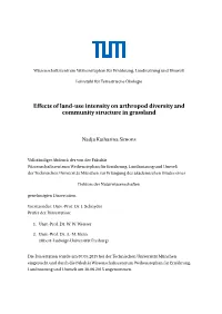 Effects of Land-Use Intensity on Arthropod Diversity and Community Structure in Grassland