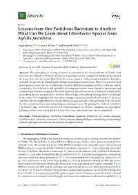 Lessons from One Fastidious Bacterium to Another: What Can We Learn About Liberibacter Species from Xylella Fastidiosa