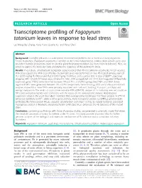 Transcriptome Profiling of Fagopyrum Tataricum Leaves in Response to Lead Stress Lei Wang, Bei Zheng, Yong Yuan, Quanle Xu* and Peng Chen*