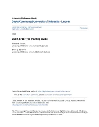 EC82-1738 Tree Planting Guide