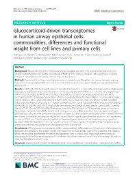 Glucocorticoid-Driven Transcriptomes in Human Airway Epithelial Cells: Commonalities, Differences and Functional Insight from Cell Lines and Primary Cells Mahmoud M