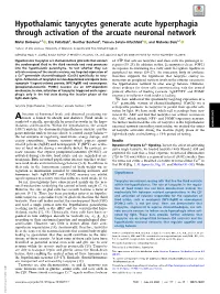 Hypothalamic Tanycytes Generate Acute Hyperphagia Through Activation of the Arcuate Neuronal Network