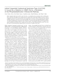 Lethal Congenital Contractural Syndrome Type 2 (LCCS2) Is Caused by a Mutation in ERBB3 (Her3), a Modulator of the Phosphatidylinositol-3-Kinase/Akt Pathway