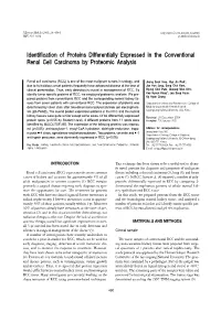 Identification of Proteins Differentially Expressed in the Conventional Renal Cell Carcinoma by Proteomic Analysis