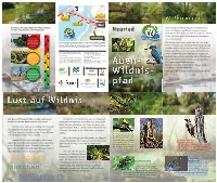 Neuried Hinter Sich! Erleben Sie Wildnis, Wie Sie in Unserer Technisierten Welt Fast Nicht Mehr Zu Finden Ist