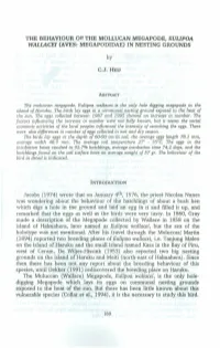 The Behaviour of the Mollucan Megapode, Eulipoa Wallacei Caves:Megapodidae) in Nesting Grounds