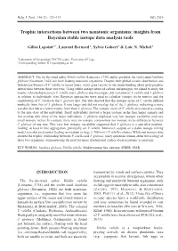 Trophic Interactions Between Two Neustonic Organisms: Insights from Bayesian Stable Isotope Data Analysis Tools