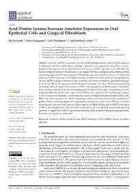 Acid Dentin Lysates Increase Amelotin Expression in Oral Epithelial Cells and Gingival Fibroblasts
