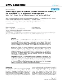 A Motif-Based Search in Bacterial Genomes