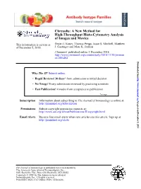A New Method for High-Throughput Histo-Cytometry Analysis of Images and Movies
