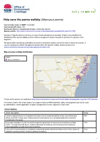 Help Save the Parma Wallaby (Macropus Parma)