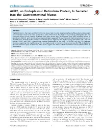 AGR2, an Endoplasmic Reticulum Protein, Is Secreted Into the Gastrointestinal Mucus