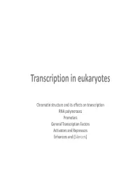 Transcription in Eukaryotes
