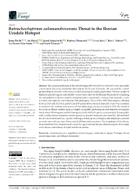 Batrachochytrium Salamandrivorans Threat to the Iberian Urodele Hotspot