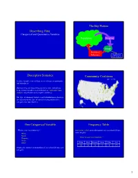 Describing Data: the Big Picture Descriptive Statistics Community