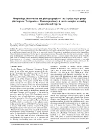 Orthoptera: Tettigoniidae: Phaneropterinae): a Species Complex Occurring in Anatolia and Cyprus