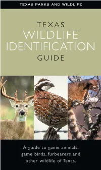 Texas Wildlife Identification Guide: a Guide to Game Animals, Game
