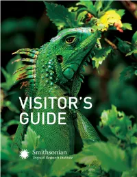 Visitors Guide