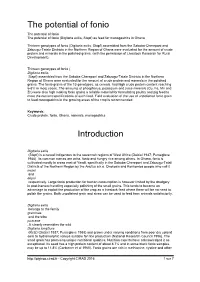 The Potential of Fonio Introduction